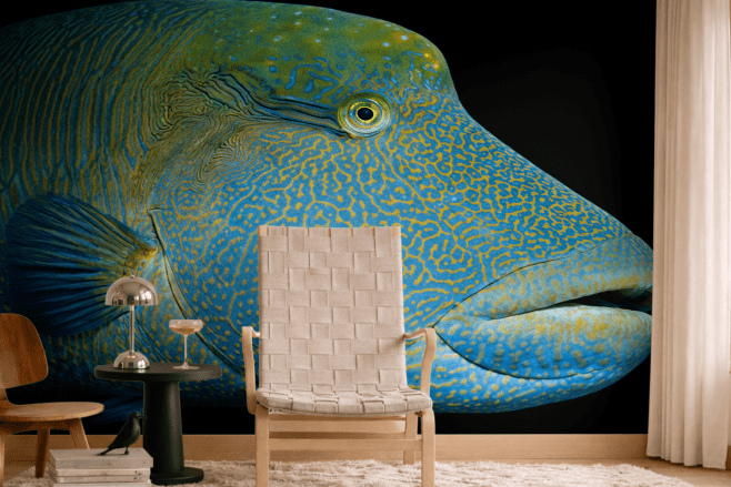 Architectural Aqua Scale