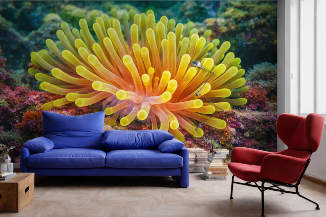 Amber Anemone Garden