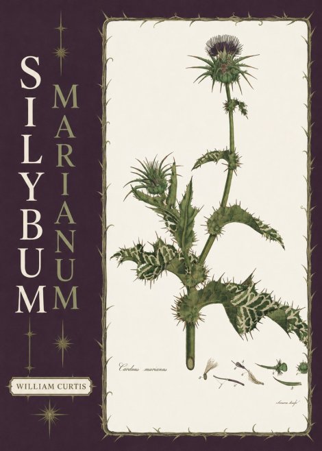 William Curtis Silybum Marianum No6 - Poster