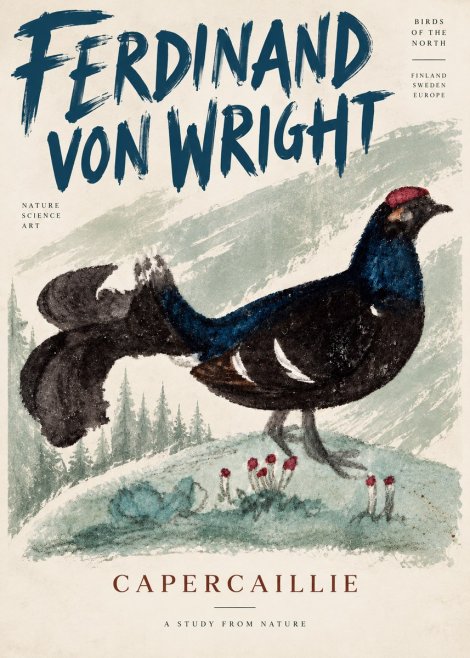 Ferdinand von Wright Western Capercaillie - Watercolor Study No5 - Poster