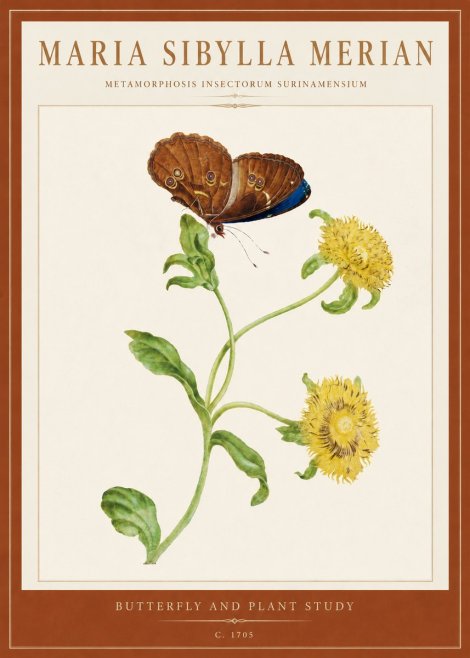 Maria Sibylla Merian Butterfly and Plant Study No5 - Poster