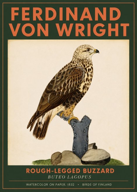 Ferdinand von Wright Rough-legged Buzzard No2 - Poster