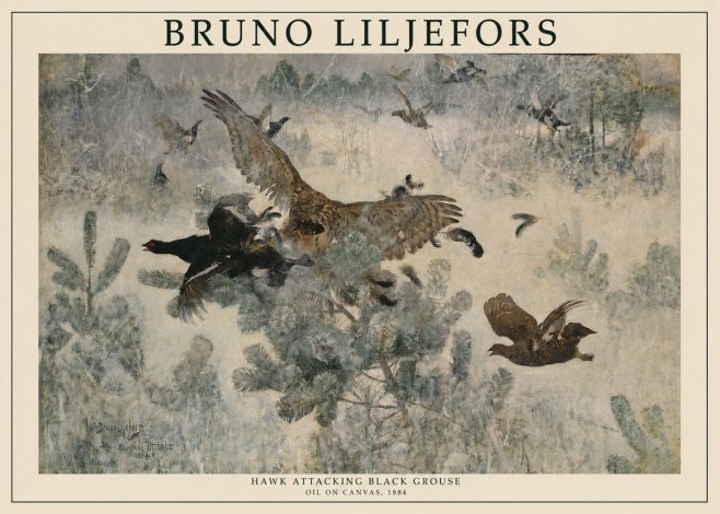 Bruno Liljefors Hawk Attacking Black Grouse No1 - Poster
