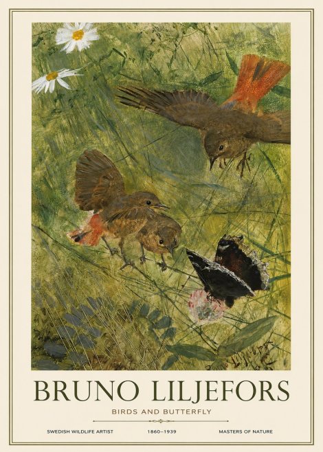 Bruno Liljefors Birds and Butterfly No1 - Poster