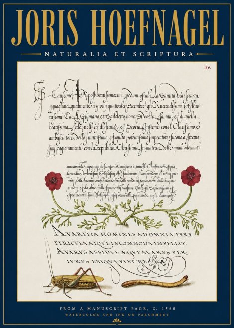 Joris Hoefnagel Illuminated Page with Flowers, Insects & Latin Script No4 - Poster