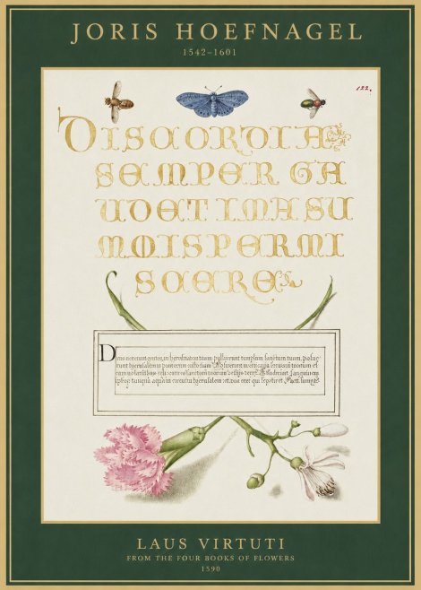 Joris Hoefnagel Laus Virtuti No1 - Poster
