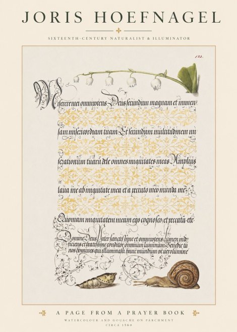 Joris Hoefnagel Lily of the Valley, Snail and Caterpillar No6 - Poster