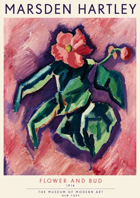Marsden Hartley Flower and Bud No4 - Poster
