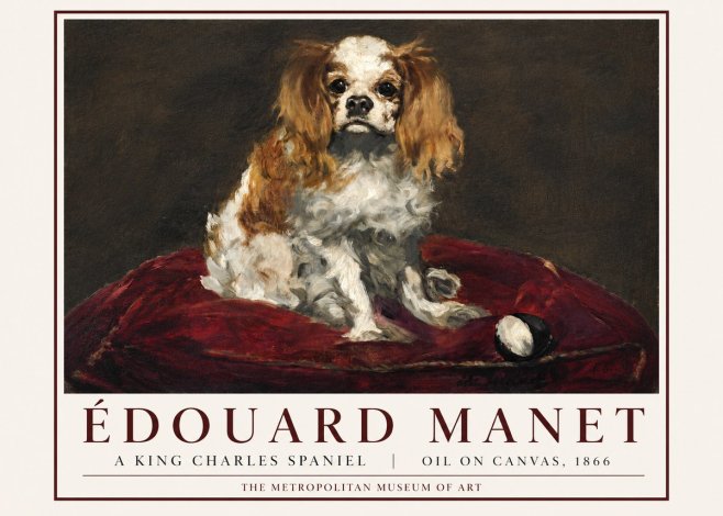 Édouard Manet A King Charles Spaniel No3 - Poster