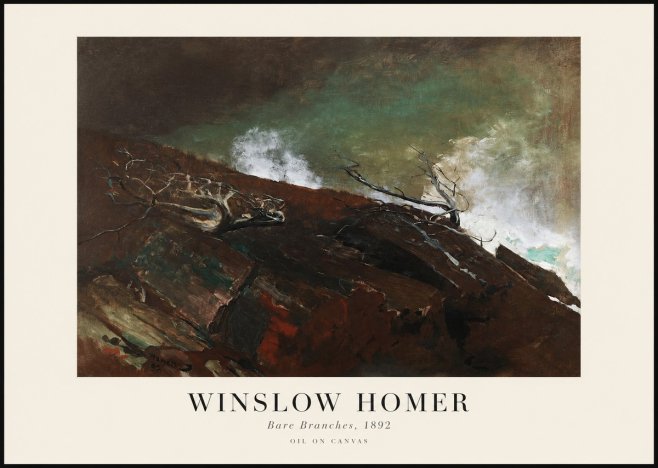 Winslow Homer Bare Branches, 1892 No1 - Poster