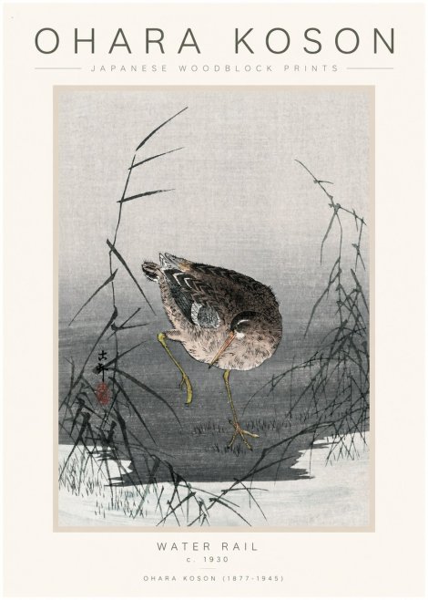 Ohara Koson Water Rail No1 - Poster