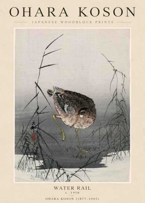 Ohara Koson Water Rail No3 - Poster