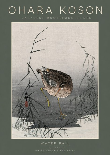 Ohara Koson Water Rail No5 - Poster