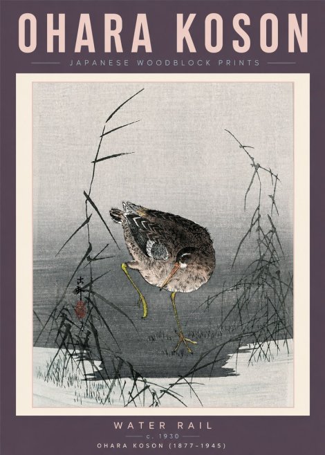 Ohara Koson Water Rail No6 - Poster