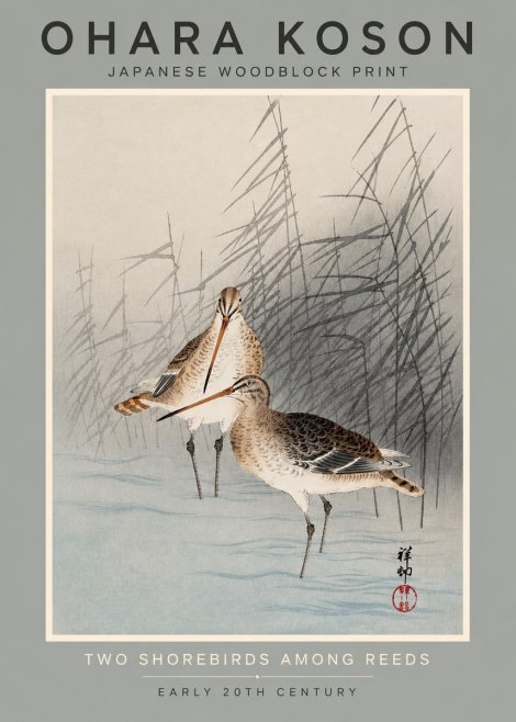 Ohara Koson Snipe in the Reeds No3 - Poster