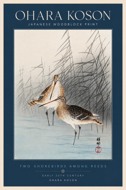 Ohara Koson Snipe in the Reeds No4 - Poster