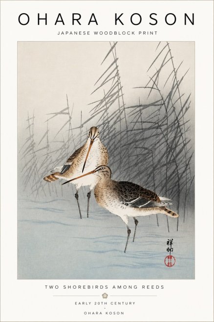 Ohara Koson Snipe in the Reeds No5 - Poster