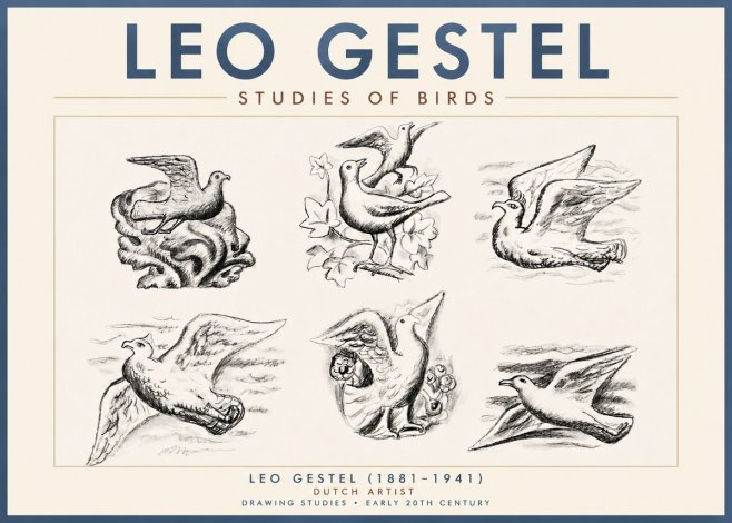 Leo Gestel Studies of Birds No4 - Poster
