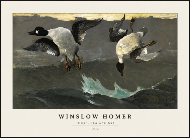 Winslow Homer Ducks, Sea and Sky No1 - Poster