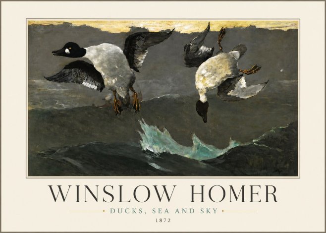 Winslow Homer Ducks, Sea and Sky No3 - Poster