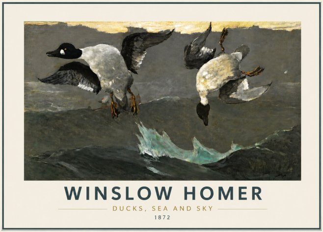 Winslow Homer Ducks, Sea and Sky No5 - Poster