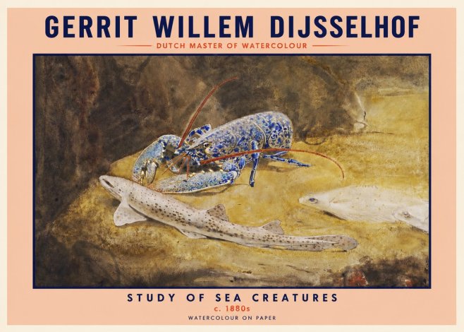 Gerrit Willem Dijsselhof Study of Sea Creatures No2 - Poster