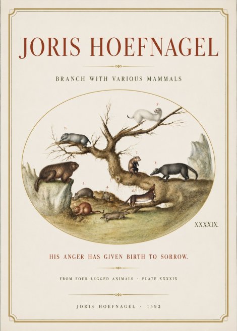 Joris Hoefnagel Branch with Various Mammals No3 - Poster