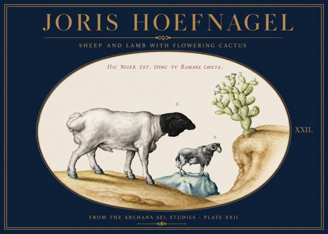 Joris Hoefnagel Sheep and Lamb with Flowering Cactus No3 - Poster