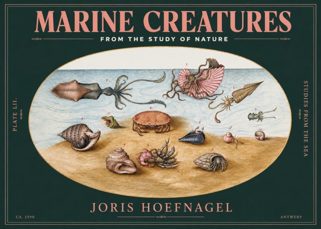 Joris Hoefnagel Marine Creatures - Plate Lii No3 - Poster