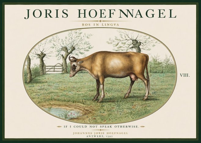 Joris Hoefnagel Bos in Lingva No6 - Poster