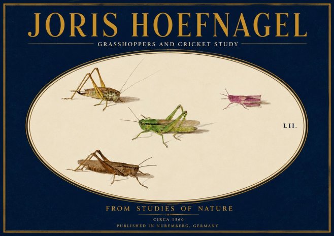 Joris Hoefnagel Three Grasshoppers and a Locust No4 - Poster