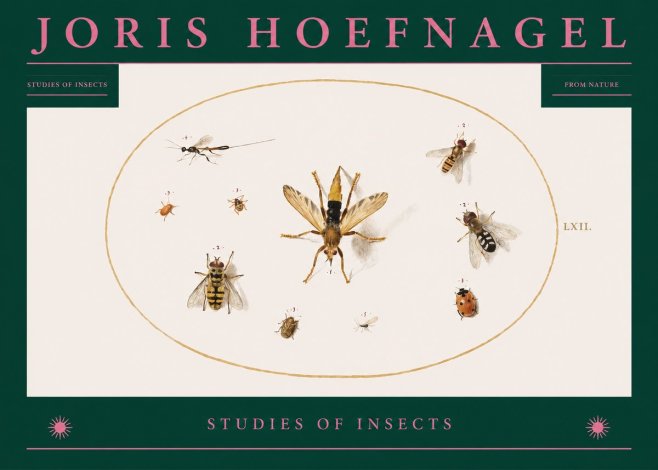 Joris Hoefnagel Studies of Insects IV No2 - Poster