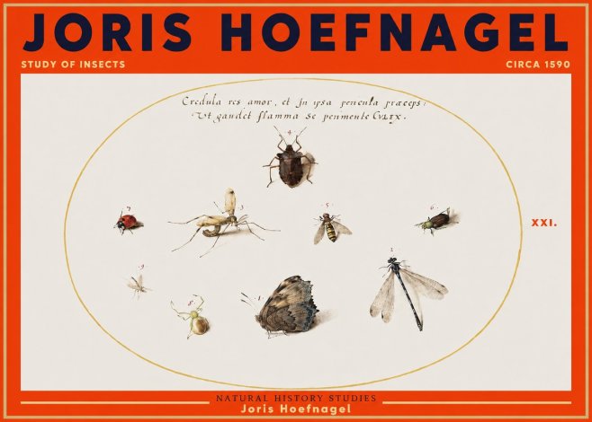Joris Hoefnagel Study of Insects • Circa 1590 No3 - Poster