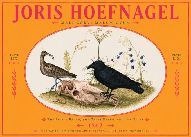Joris Hoefnagel The Little Raven, the Great Raven, and the Skull No4 - Poster