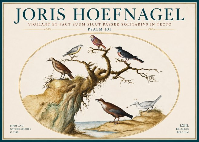 Joris Hoefnagel Vigilant Et Fact Suum Sicut Passer Solitarius in Tecto No6 - Poster