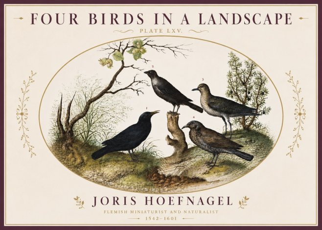 Joris Hoefnagel Four Birds in a Landscape No4 - Poster