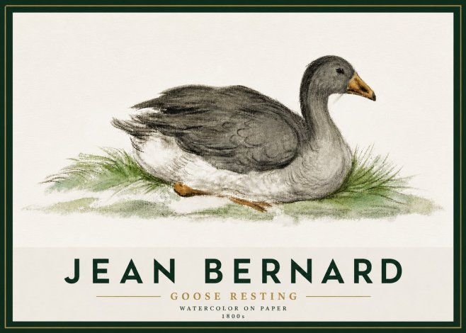 Jean Bernard Goose Resting No5 - Poster