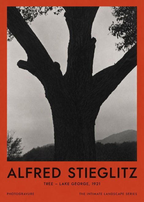 Alfred Stieglitz Tree - Lake George, 1921 No2 - Poster