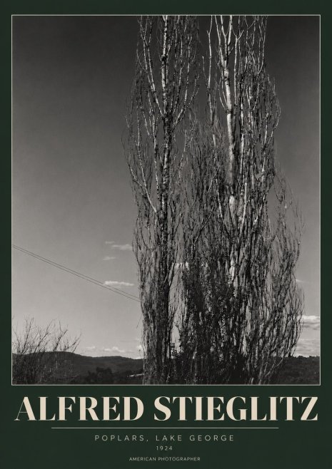 Alfred Stieglitz Trees - Lake George, 1921 No6 - Poster