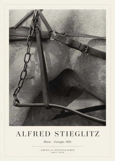 Alfred Stieglitz The Steerage I No6 - Poster