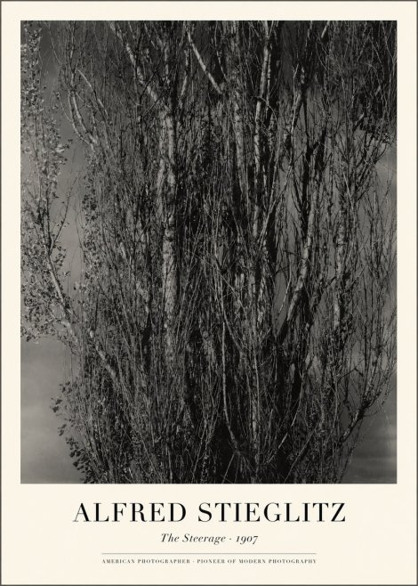 Alfred Stieglitz The Steerage II No1 - Poster