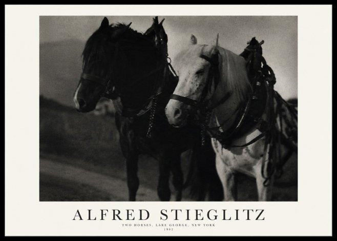 Alfred Stieglitz Two Horses, Lake George, New York No1 - Poster