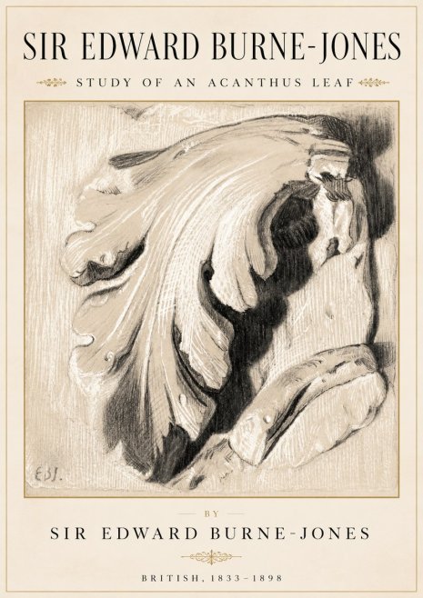 Edward Burne-Jones Study of an Acanthus Leaf No2 - Poster