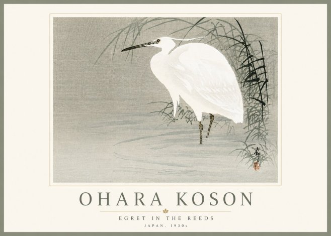 Ohara Koson Egret in the Reeds No5 - Poster