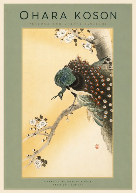 Ohara Koson Peacock and Cherry Blossoms No2 - Poster
