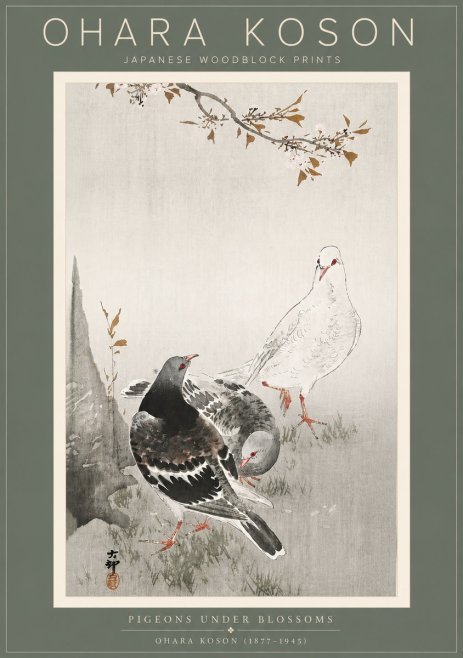 Ohara Koson Pigeons Under Blossoms No5 - Poster