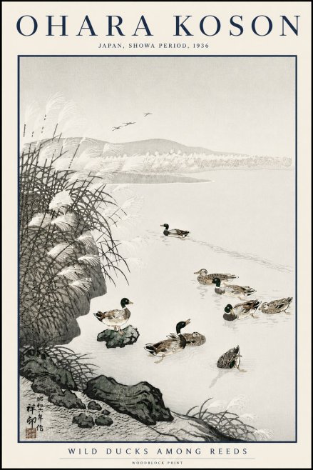 Ohara Koson Wild Ducks Among Reeds No3 - Poster