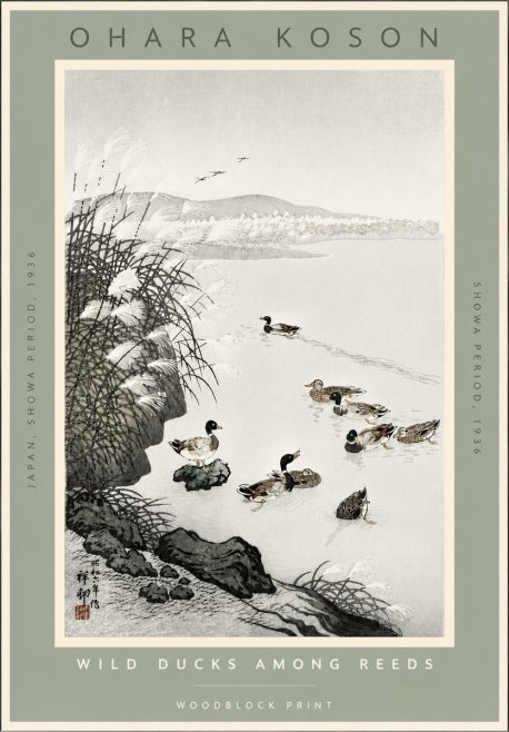 Ohara Koson Wild Ducks Among Reeds No4 - Poster