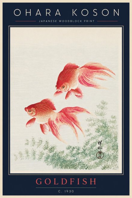 Ohara Koson Goldfish No5 - Poster
