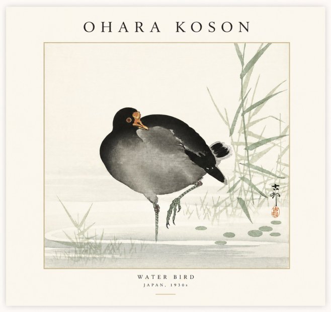 Ohara Koson Water Bird No1 - Poster